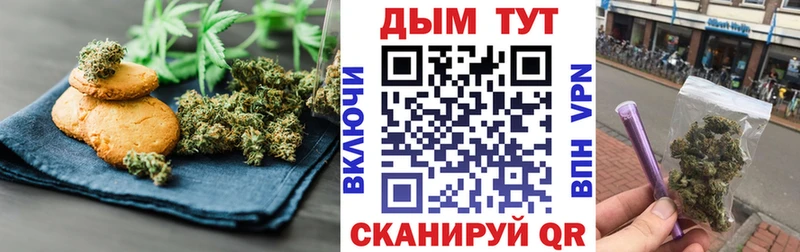 кракен вход  Сунжа  Печенье с ТГК марихуана 