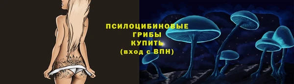 прущие крисы Алзамай