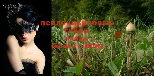 прущие крисы Алзамай