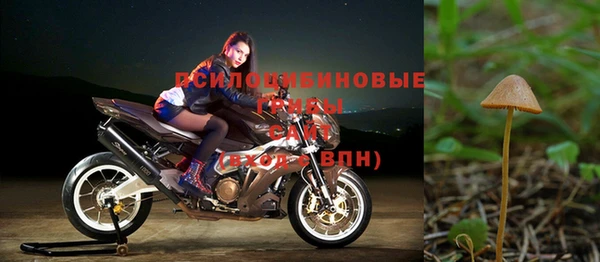 прущие крисы Алзамай